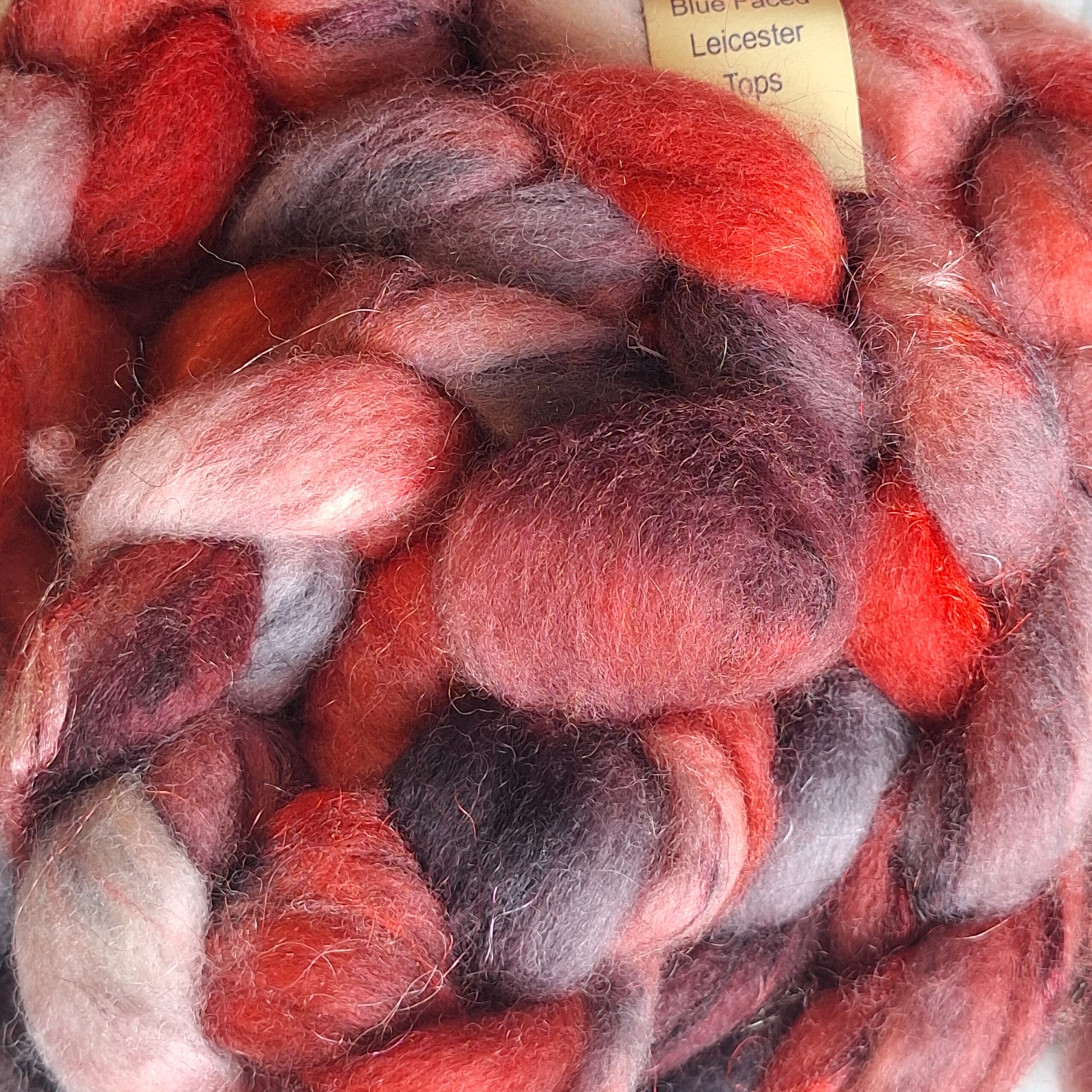 English Blue Faced Leicester Tops with Nylon AD