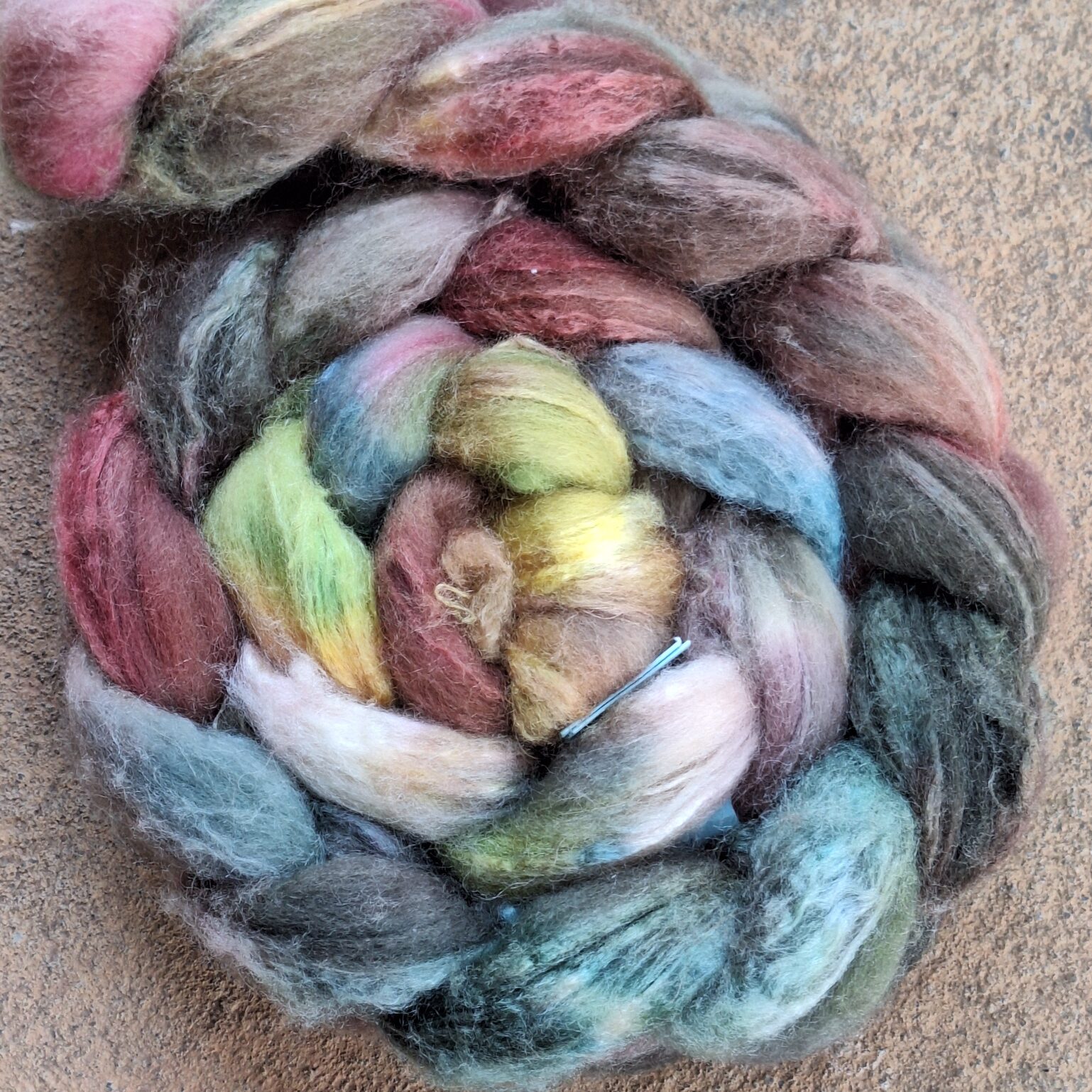 English Blue faced Leicester with Silk 5