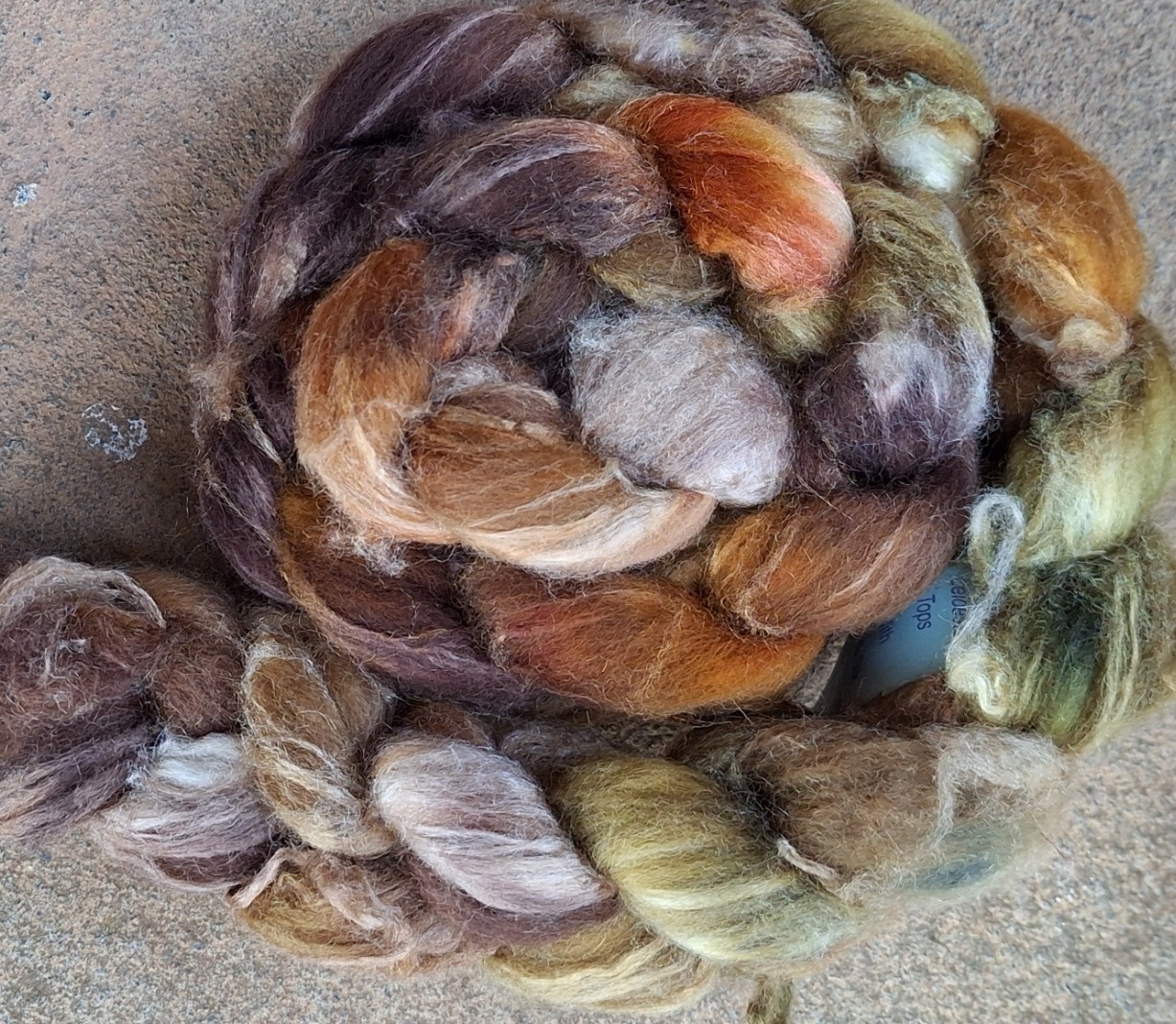 English Blue faced Leicester with Silk 7